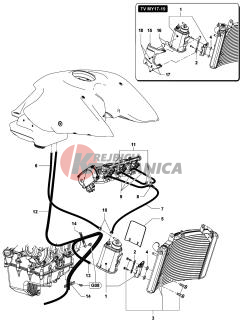 Carbon Canister Assembly