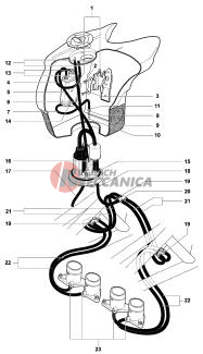 Carbon Canister Assy Usa