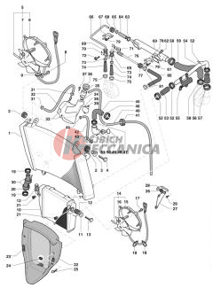 Cooling System Double