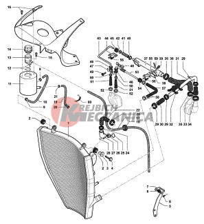 Cooling System F4 Veltro Pista