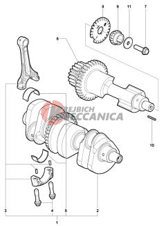 Crank Shaft Assembly