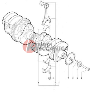 Crank Shaft Assembly