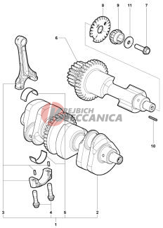 Crank Shaft Assembly