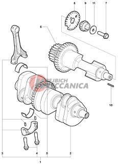 Crank Shaft Assembly