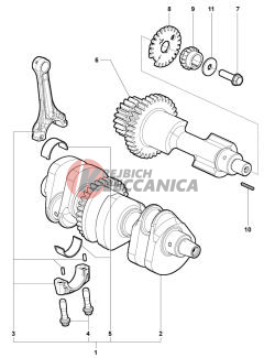 Crank Shaft Assembly