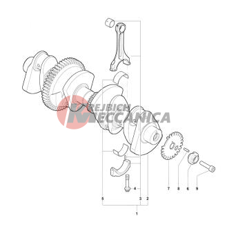 Crankshaft Assembly