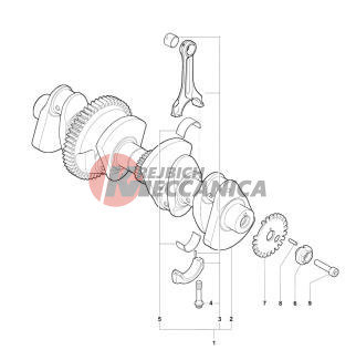 Crankshaft Assembly