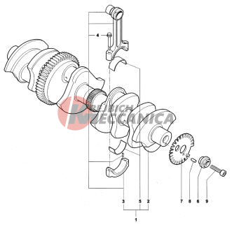 Crankshaft Assembly