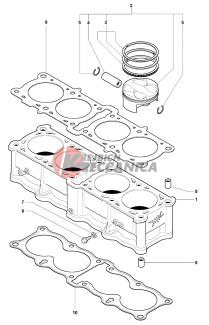 Cylinder  Piston Assembly
