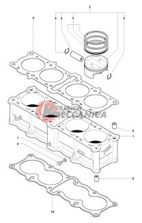 Cylinder  Piston Assembly