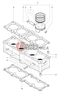 Cylinder  Piston Assembly