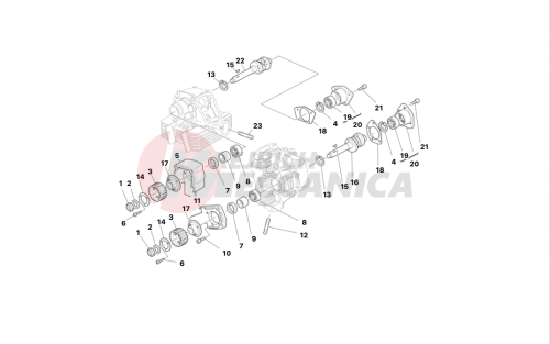 Cylinder head : timing system