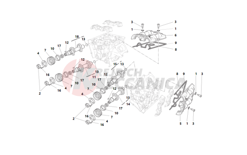 Cylinder head : timing system