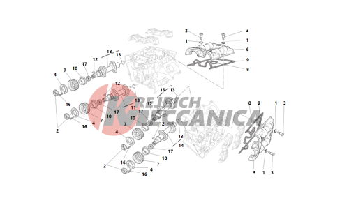 Cylinder head : timing system