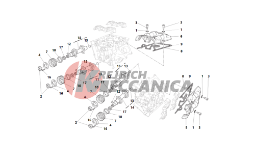 Cylinder head : timing system