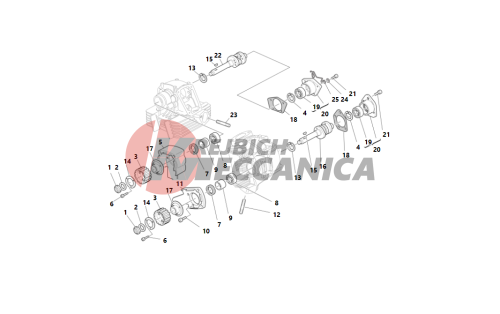 Cylinder head : timing system