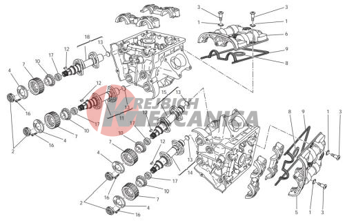 Cylinder head : timing system