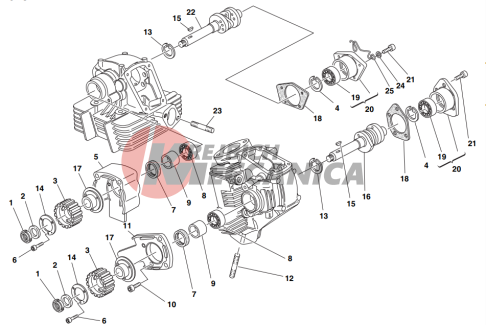 Cylinder head : timing system