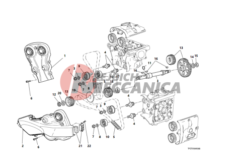 DISTRIBUZIONE