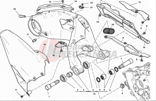 FORCELLONE POSTERIORE