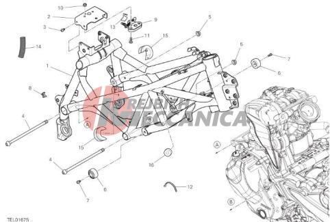 FRAME [XST-EUR,GSO,TWN,TUR]