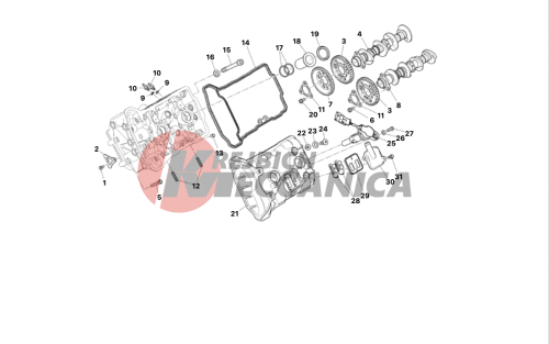 FRONT HEAD - TIMING SYSTEM