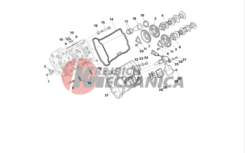 FRONT HEAD - TIMING SYSTEM