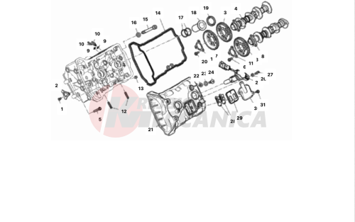 FRONT HEAD - TIMING SYSTEM