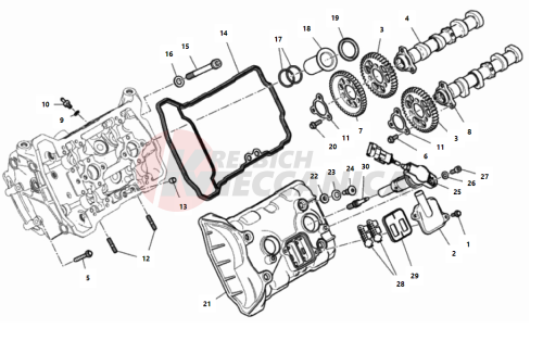 FRONT HEAD - TIMING SYSTEM