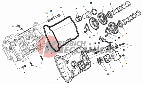 FRONT HEAD - TIMING SYSTEM