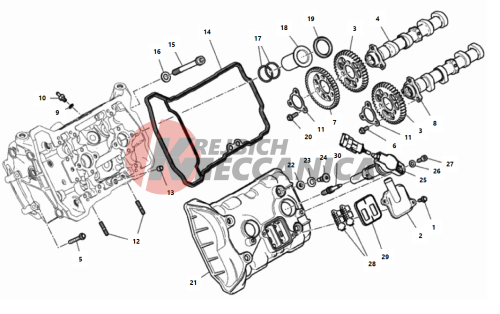 FRONT HEAD - TIMING SYSTEM