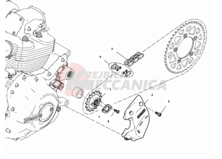 FRONT SPROCKET - CHAIN