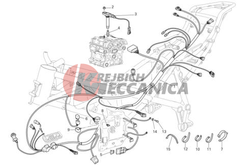 Fuel injection system