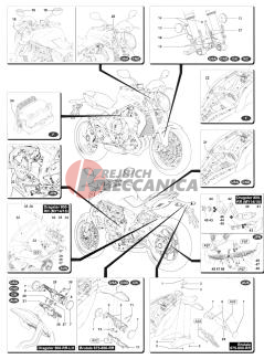 Foreign Countries Versions