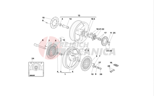 Front and rear wheels