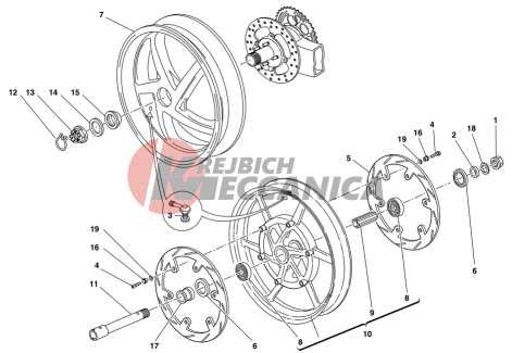 Front and rear wheels