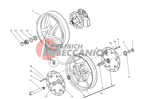 Front and rear wheels