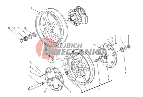 Front and rear wheels