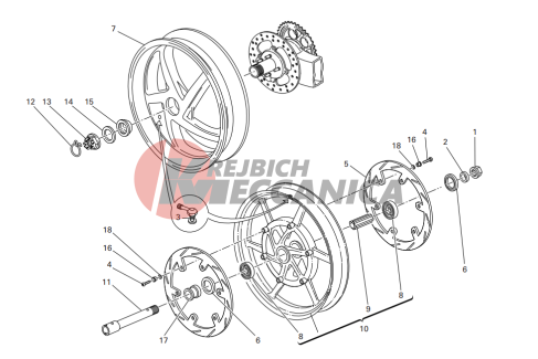 Front and rear wheels