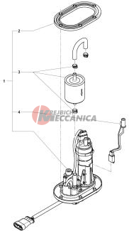 Fuel Pump Assembly