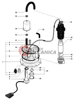Fuel Pump Assembly