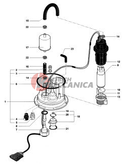 Fuel Pump Assembly