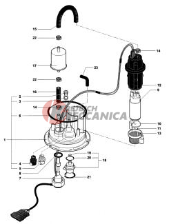 Fuel Pump Assembly