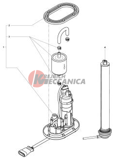 Fuel Pump Assembly