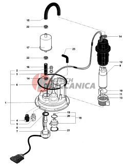 Fuel Pump Assembly