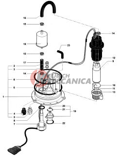 Fuel Pump Assembly