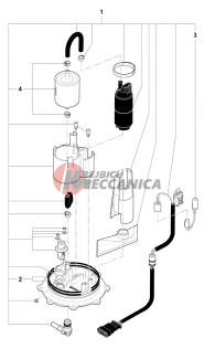 Fuel Pump Assembly