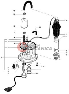 Fuel Pump Assembly