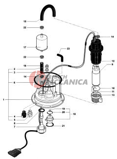 Fuel Pump Assembly