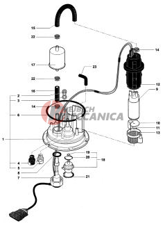Fuel Pump Assembly